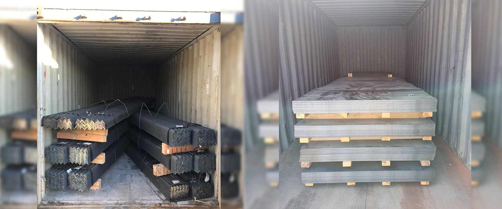 Unity Fumigasyon ve Gözetim